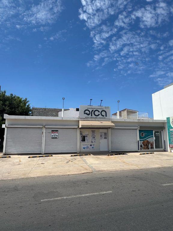 Foto de la galeria de imagenes